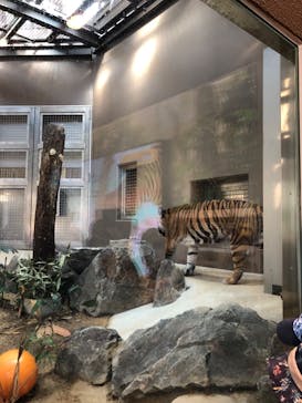 名古屋市東山動植物園に投稿された画像（2023/11/6）