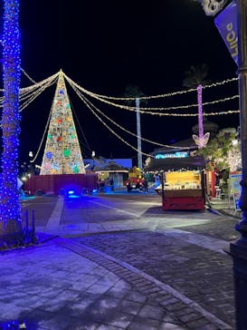 フェスタ・ルーチェに投稿された画像（2023/11/6）