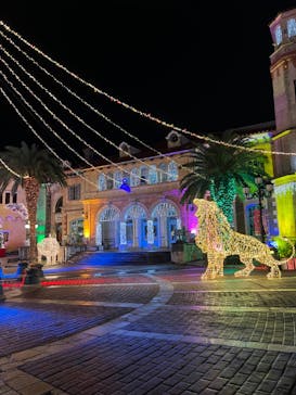 フェスタ・ルーチェに投稿された画像（2023/11/6）