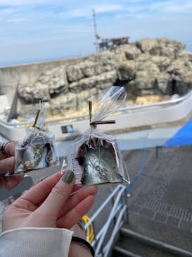 大分マリーンパレス水族館 「うみたまご」に投稿された画像（2023/11/6）
