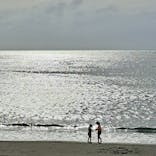 新江ノ島水族館に投稿された画像（2023/11/7）