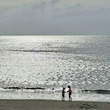 新江ノ島水族館に投稿された画像（2023/11/6）