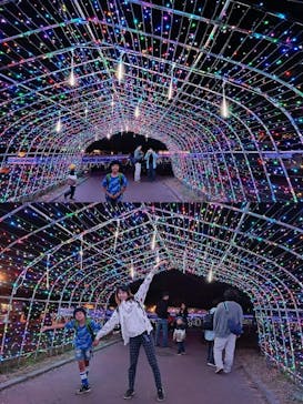 東武動物公園に投稿された画像（2023/11/6）