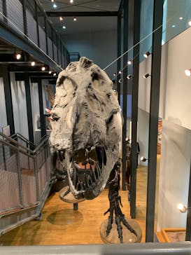 福井県立恐竜博物館に投稿された画像（2023/11/6）