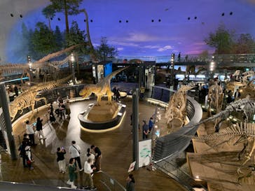 福井県立恐竜博物館に投稿された画像（2023/11/6）