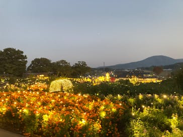 いばらきフラワーパークに投稿された画像（2023/11/3）