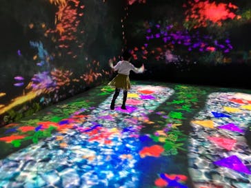 チームラボに投稿された画像（2023/11/7）