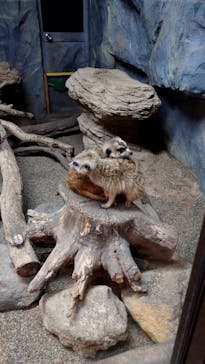 那須どうぶつ王国に投稿された画像（2023/11/7）