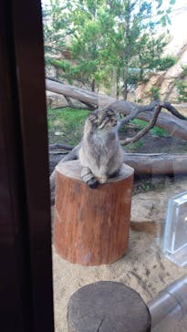 那須どうぶつ王国に投稿された画像（2023/11/7）