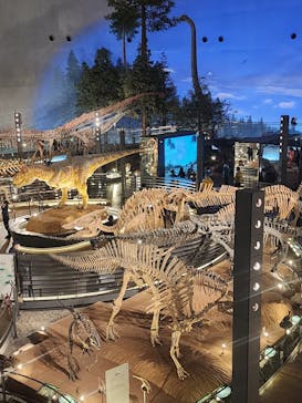 福井県立恐竜博物館に投稿された画像（2023/11/7）
