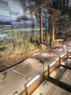 福井県立恐竜博物館に投稿された画像（2023/11/7）