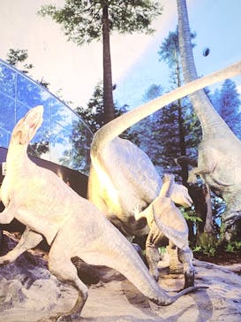 福井県立恐竜博物館に投稿された画像（2023/11/7）