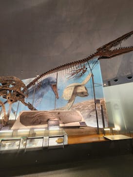 福井県立恐竜博物館に投稿された画像（2023/11/7）