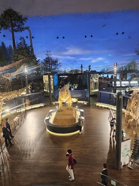 福井県立恐竜博物館に投稿された画像（2023/11/7）
