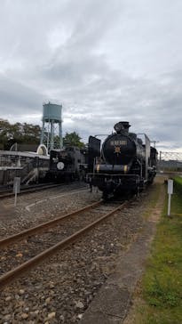 京都鉄道博物館×京都水族館に投稿された画像（2023/11/7）