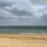 武藤潜水に投稿された画像（2023/11/7）