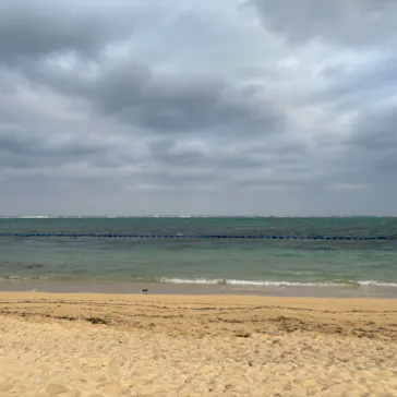 武藤潜水に投稿された画像（2023/11/7）