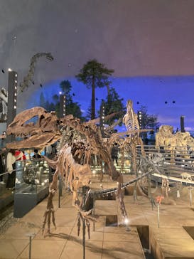 福井県立恐竜博物館に投稿された画像（2023/11/7）