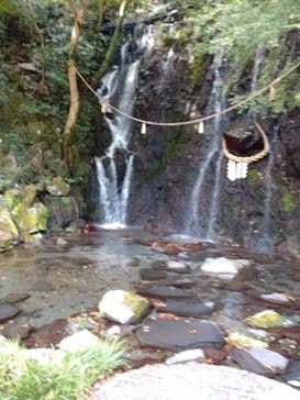 箱根湯本温泉 天成園に投稿された画像（2023/11/7）