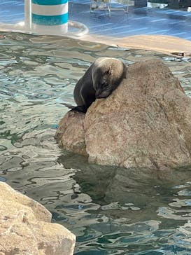 京都鉄道博物館×京都水族館に投稿された画像（2023/11/7）