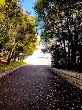 豊田市美術館に投稿された画像（2023/11/7）