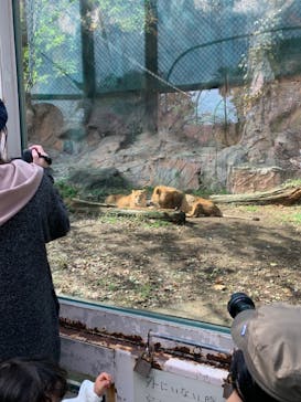 名古屋市東山動植物園に投稿された画像（2023/11/7）