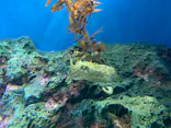 サンシャイン水族館に投稿された画像（2023/11/7）