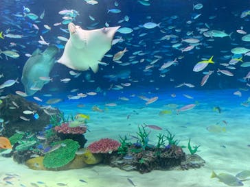 サンシャイン水族館に投稿された画像（2023/11/7）