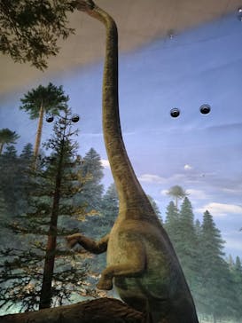 福井県立恐竜博物館に投稿された画像（2023/11/7）