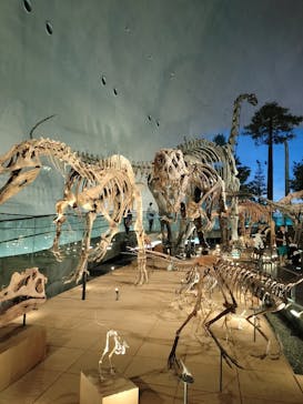 福井県立恐竜博物館に投稿された画像（2023/11/7）