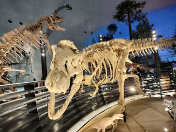 福井県立恐竜博物館に投稿された画像（2023/11/7）