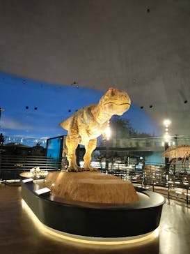 福井県立恐竜博物館に投稿された画像（2023/11/7）