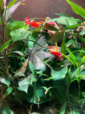 マクセル アクアパーク品川に投稿された画像（2023/11/7）