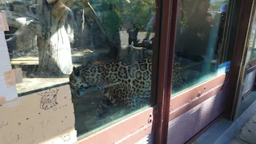 天王寺動物園に投稿された画像（2023/11/7）