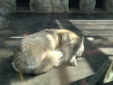 天王寺動物園に投稿された画像（2023/11/7）