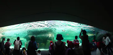 天王寺動物園に投稿された画像（2023/11/7）