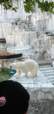 名古屋市東山動植物園に投稿された画像（2023/11/7）