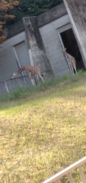 名古屋市東山動植物園に投稿された画像（2023/11/7）