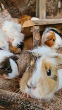 長崎バイオパークに投稿された画像（2023/11/7）