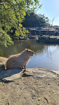 長崎バイオパークに投稿された画像（2023/11/7）