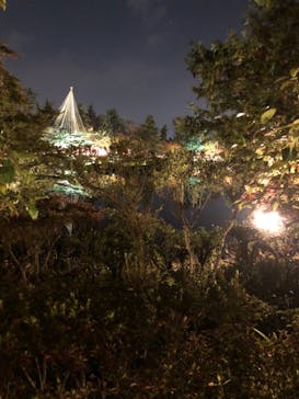 国営昭和記念公園 秋の夜散歩に投稿された画像（2023/11/7）