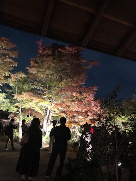 国営昭和記念公園 秋の夜散歩に投稿された画像（2023/11/7）