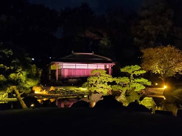 NAKED meets 二条城 2025 観月に投稿された画像（2023/11/7）