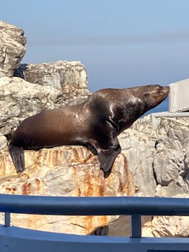 大分マリーンパレス水族館 「うみたまご」に投稿された画像（2023/11/7）