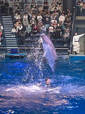 マクセル アクアパーク品川に投稿された画像（2023/11/7）