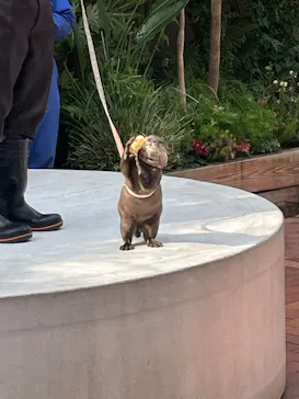 マクセル アクアパーク品川に投稿された画像（2023/11/7）