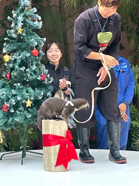 マクセル アクアパーク品川に投稿された画像（2023/11/7）