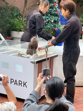 マクセル アクアパーク品川に投稿された画像（2023/11/7）