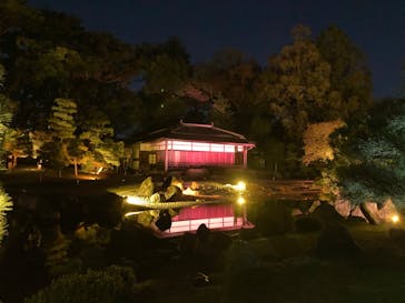 NAKED meets 二条城 2025 観月に投稿された画像（2023/11/7）