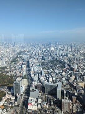 ハルカス300(展望台)に投稿された画像（2023/11/7）